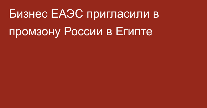 Бизнес ЕАЭС пригласили в промзону России в Египте