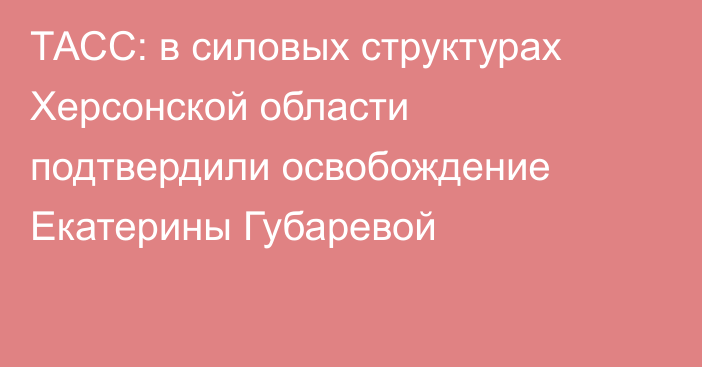 ТАСС: в силовых структурах Херсонской области подтвердили освобождение Екатерины Губаревой