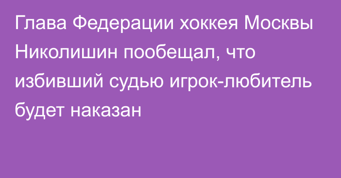 Глава Федерации хоккея Москвы Николишин пообещал, что избивший судью игрок-любитель будет наказан