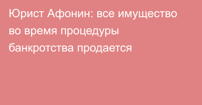 Юрист Афонин: все имущество во время процедуры банкротства продается