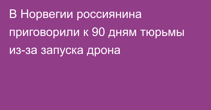 В Норвегии россиянина приговорили к 90 дням тюрьмы из-за запуска дрона