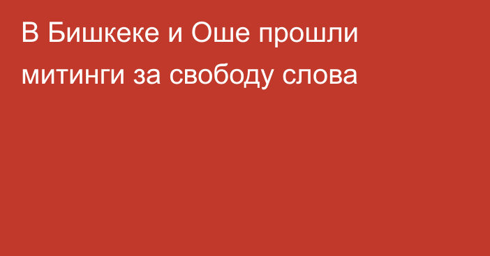 В Бишкеке и Оше прошли митинги за свободу слова