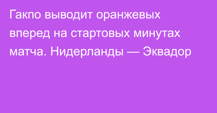 Гакпо выводит оранжевых вперед на стартовых минутах матча. Нидерланды — Эквадор