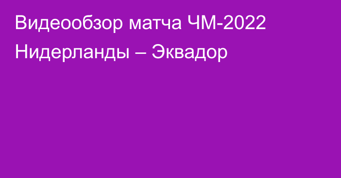 Видеообзор матча ЧМ-2022 Нидерланды – Эквадор