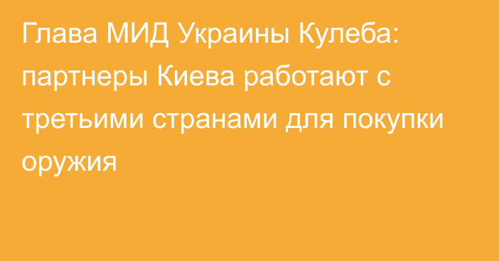 Глава МИД Украины Кулеба: партнеры Киева работают с третьими странами для покупки оружия