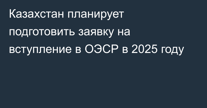 Казахстан планирует подготовить заявку на вступление в ОЭСР в 2025 году