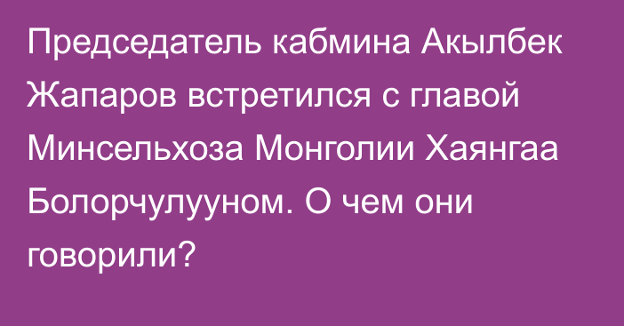 Председатель кабмина Акылбек Жапаров встретился с главой Минсельхоза Монголии Хаянгаа Болорчулууном. О чем они говорили?