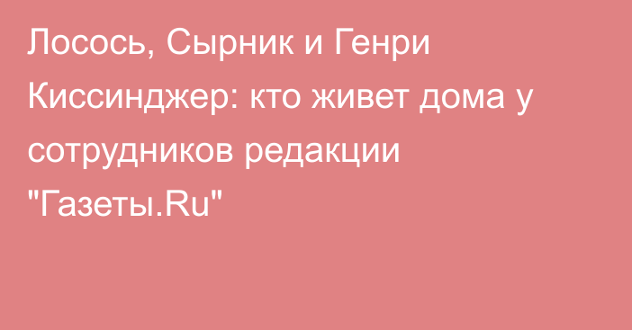 Лосось, Сырник и Генри Киссинджер: кто живет дома у сотрудников редакции 