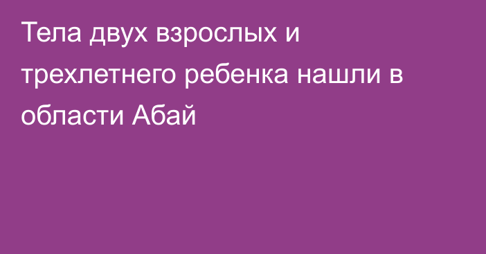 Тела двух взрослых и трехлетнего ребенка нашли в области Абай