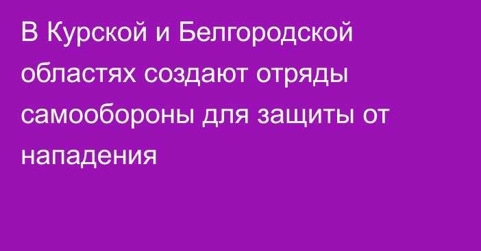 В Курской и Белгородской областях создают отряды самообороны для защиты от нападения