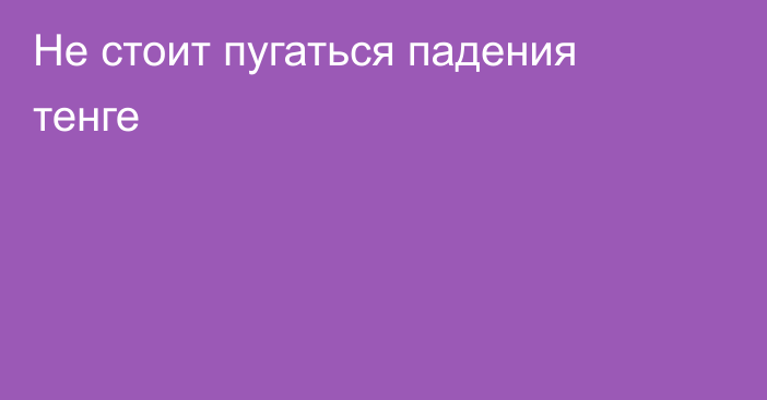 Не стоит пугаться падения тенге