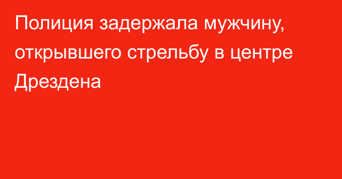 Полиция задержала мужчину, открывшего стрельбу в центре Дрездена