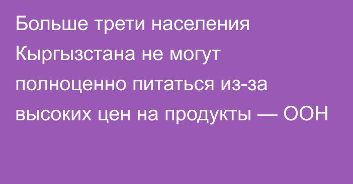 Больше трети населения Кыргызстана не могут полноценно питаться из-за высоких цен на продукты — ООН