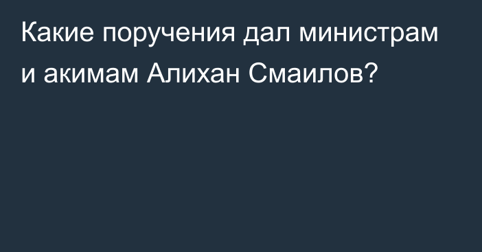 Какие поручения дал министрам и акимам Алихан Смаилов?