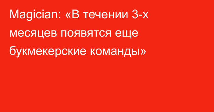 Magician: «В течении 3-х месяцев появятся еще букмекерские команды»