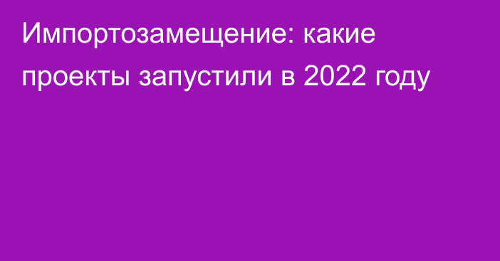 Импортозамещение: какие проекты запустили в 2022 году