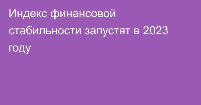 Индекс финансовой стабильности запустят в 2023 году