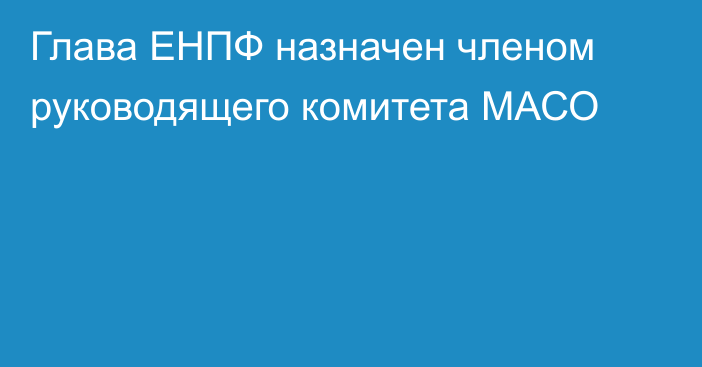 Глава ЕНПФ назначен членом руководящего комитета МАСО