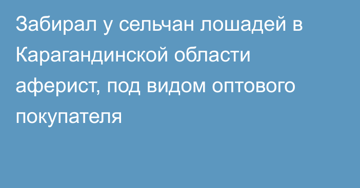 Забирал у сельчан лошадей в Карагандинской области аферист, под видом оптового покупателя