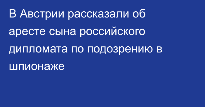 В Австрии рассказали об аресте сына российского дипломата по подозрению в шпионаже