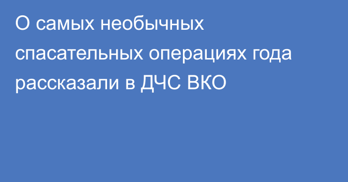 О самых необычных спасательных операциях года рассказали в ДЧС ВКО