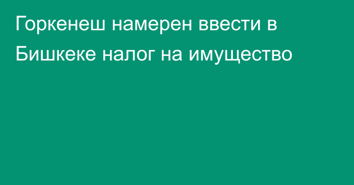 Горкенеш намерен ввести в Бишкеке налог на имущество