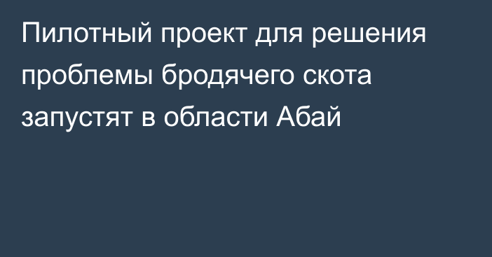 Пилотный проект для решения проблемы бродячего скота запустят в области Абай