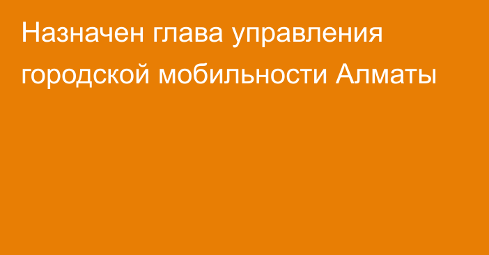 Назначен глава управления городской мобильности Алматы