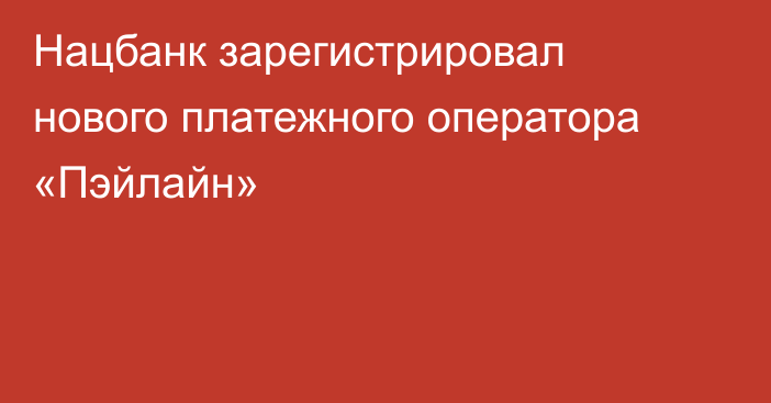 Нацбанк зарегистрировал нового платежного оператора «Пэйлайн»