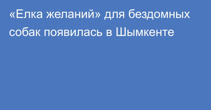 «Елка желаний» для бездомных собак появилась в Шымкенте