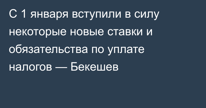 С 1 января вступили в силу некоторые новые ставки и обязательства по уплате налогов — Бекешев