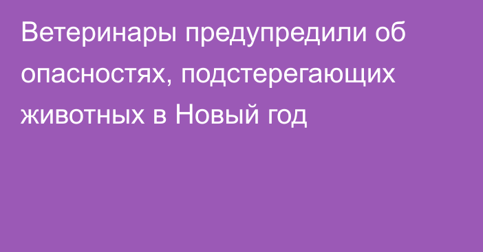 Ветеринары предупредили об опасностях, подстерегающих животных в Новый год