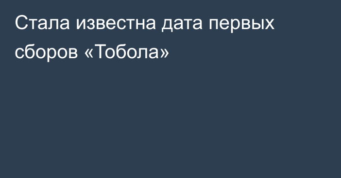 Стала известна дата первых сборов «Тобола»