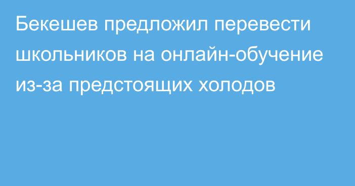 Бекешев предложил перевести школьников на онлайн-обучение из-за предстоящих холодов