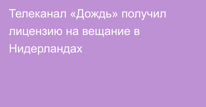 Телеканал «Дождь» получил лицензию на вещание в Нидерландах