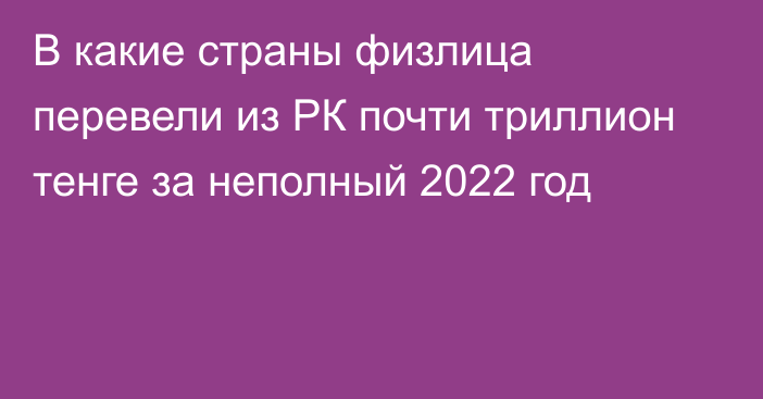 В какие страны физлица перевели из РК почти триллион тенге за неполный 2022 год