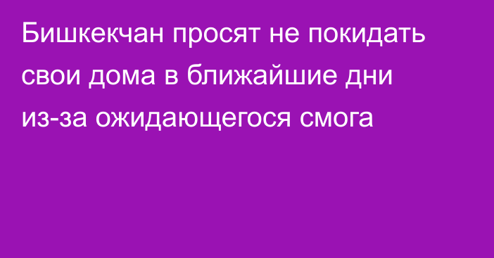 Бишкекчан просят не покидать свои дома в ближайшие дни из-за ожидающегося смога