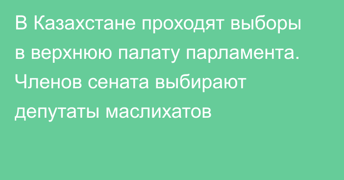 В Казахстане проходят выборы в верхнюю палату парламента. Членов сената выбирают депутаты маслихатов