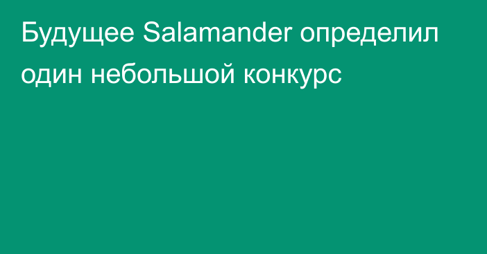 Будущее Salamander определил один небольшой конкурс