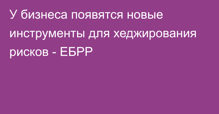 У бизнеса появятся новые инструменты для хеджирования рисков - ЕБРР