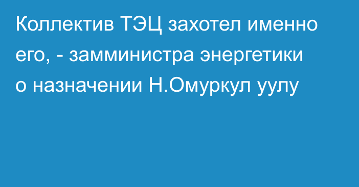 Коллектив ТЭЦ захотел именно его, - замминистра энергетики о назначении Н.Омуркул уулу 