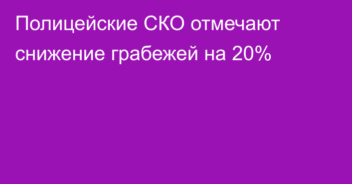 Полицейские СКО отмечают снижение грабежей на 20%