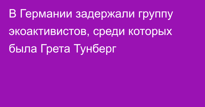 В Германии задержали группу экоактивистов, среди которых была Грета Тунберг