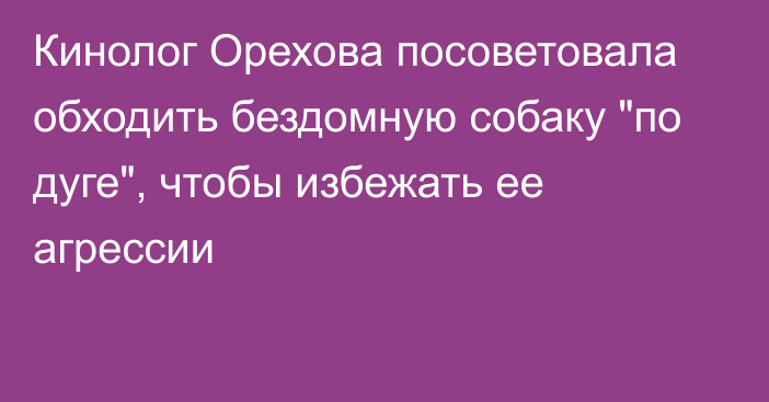 Кинолог Орехова посоветовала обходить бездомную собаку 