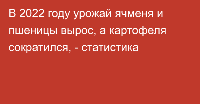 В 2022 году урожай ячменя и пшеницы вырос, а картофеля сократился, - статистика