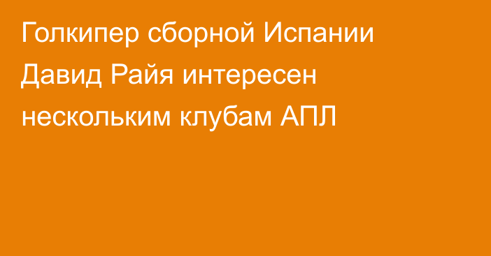 Голкипер сборной Испании Давид Райя интересен нескольким клубам АПЛ