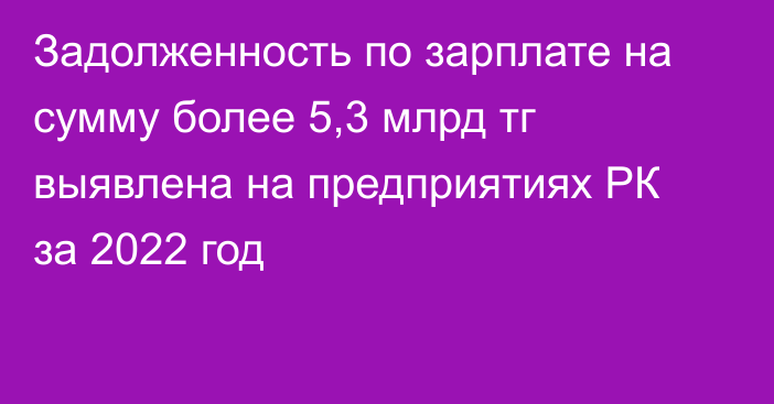 Задолженность по зарплате на сумму более 5,3 млрд тг выявлена на предприятиях РК за 2022 год