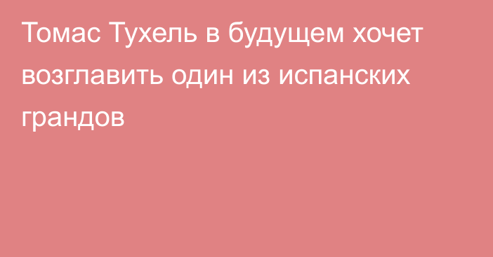 Томас Тухель в будущем хочет возглавить один из испанских грандов