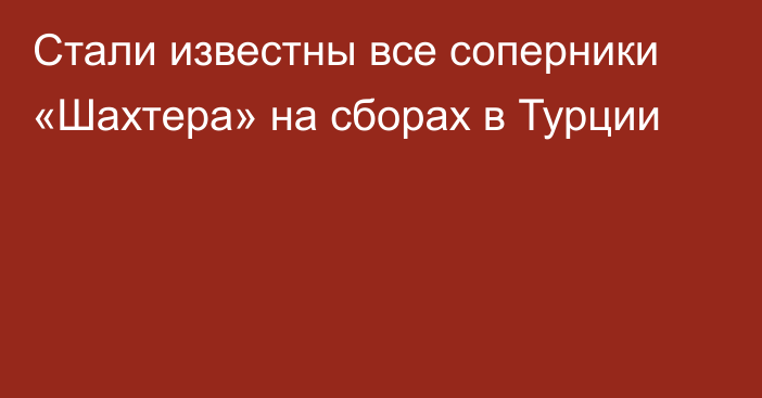 Стали известны все соперники «Шахтера» на сборах в Турции