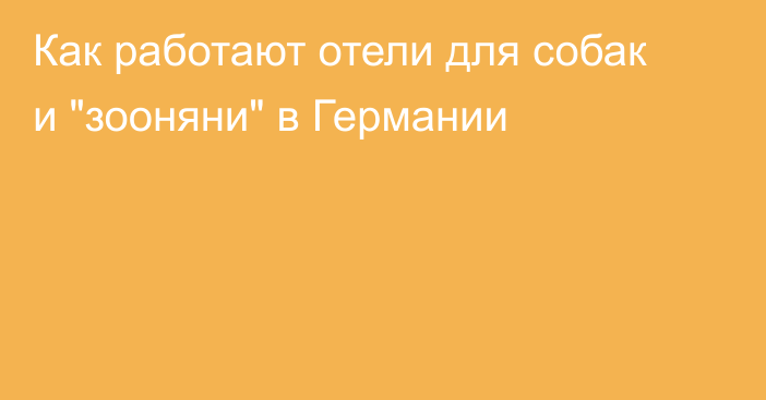 Как работают отели для собак и 